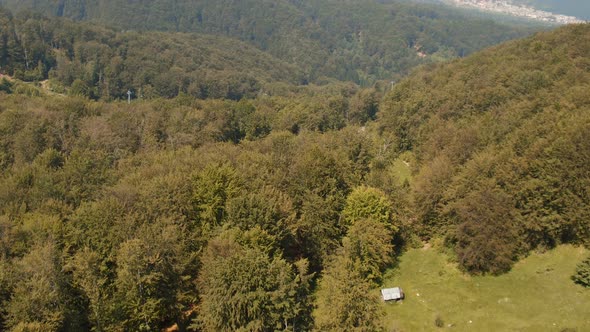 Aerial shot of a forest in Transylvania