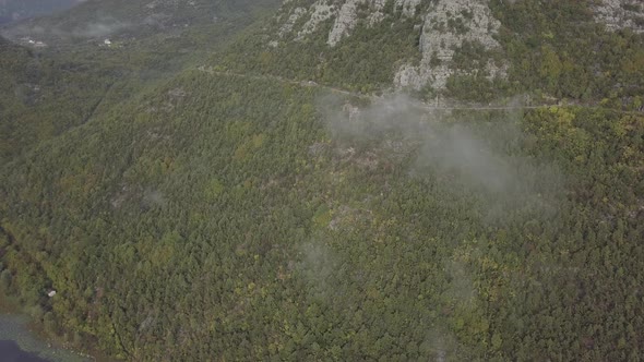 Aerial view of forest and winding road on mountainside, green trees, low clouds, Montenegro