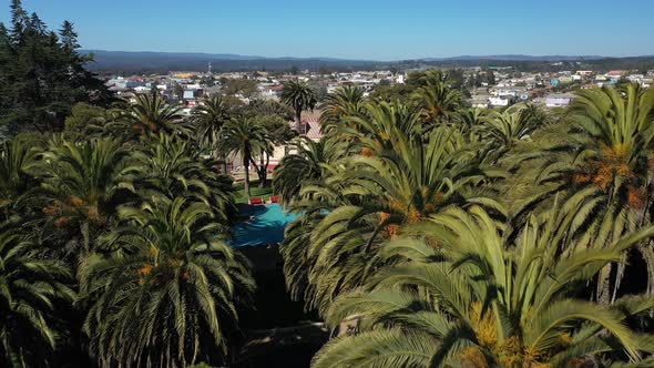 Aerial:Parque Ross, drone shot historic place The original park contains native Canary date palms ov