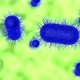 Peering inside a microorganism cell - VideoHive Item for Sale