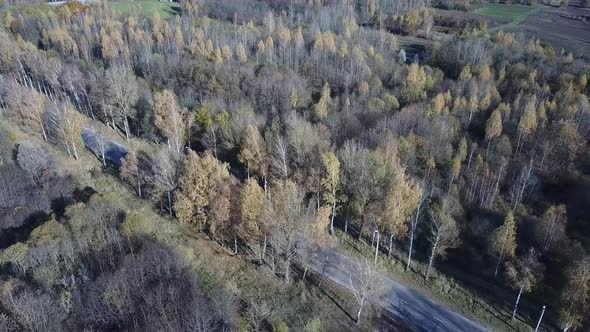 Autumn Landscape Aerial View 08