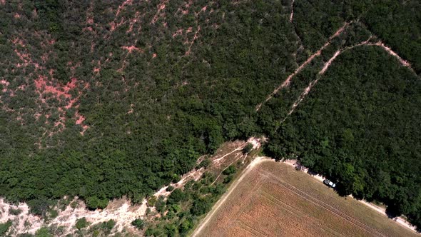 Aerial view of the Brazilian savannah then fields of soybeans growing on deforested farmland