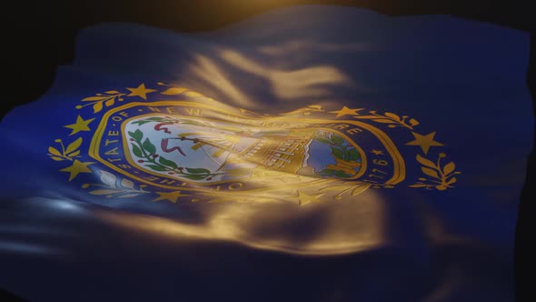 New Hampshire State Flag Low Angle View