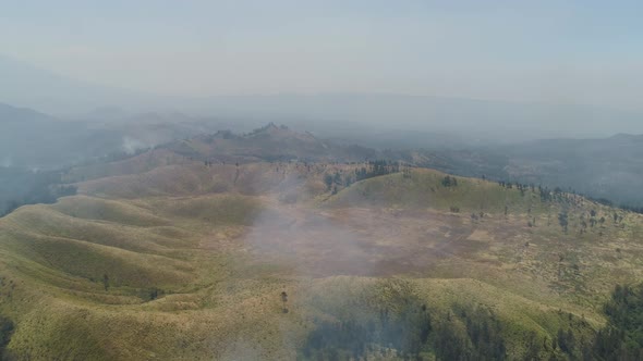 Forest Fire in the Mountains