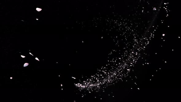 Cherry Blossom 4K alt