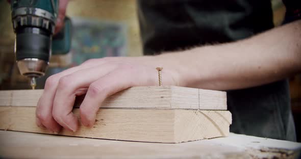 Cose Up Worker in a Woodworking Workshop with a of Drilling Into Wood with Screw Twisted Into Place