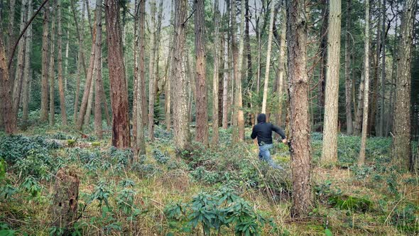 Person Runs Through The Woods