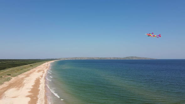 Rainbow a Multicolored Kite Flies Over the Sea in Summer Taken on Drone