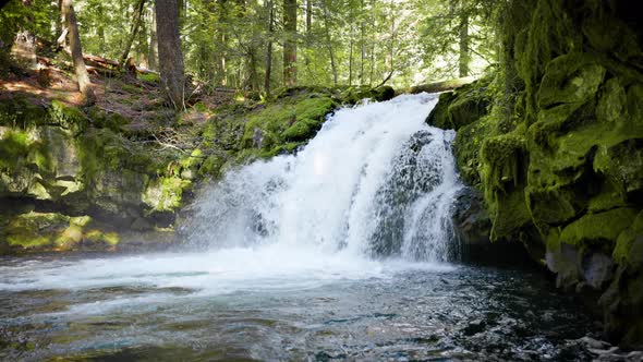 The beautiful White Horse Falls in Oregon, USA