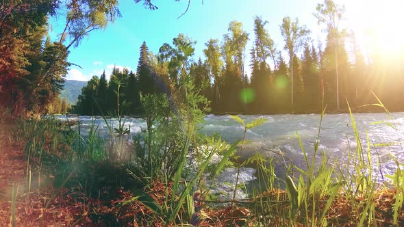 Meadow at Mountain River Bank