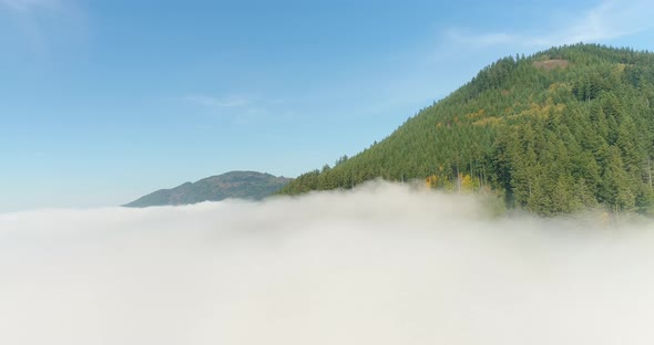 Morning Dew Point Fog Dissipates With Sunlight Below Tree Lined Mountain Hills In Pacific Northwest