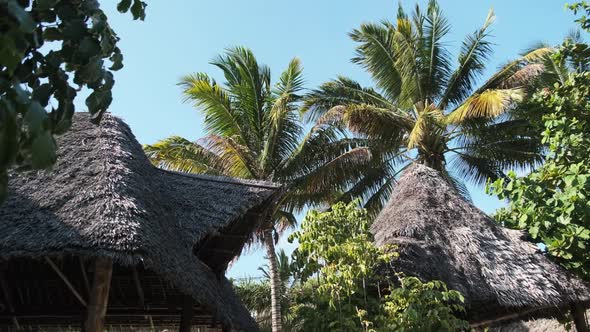 Tropical African Hotel with Thatched Roof Bungalows and Palm Trees Zanzibar