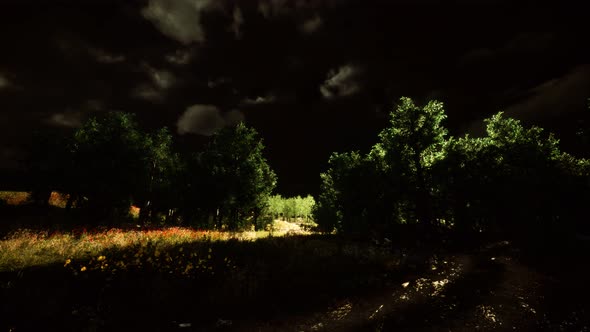Thunderstorm Clouds with Lightning in Green Meadow alt