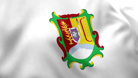 Nayarit Flag (Mexico)