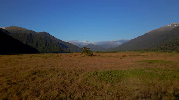 Flying through vast grass valley with lonely tree and mountains in the background in New Zealand