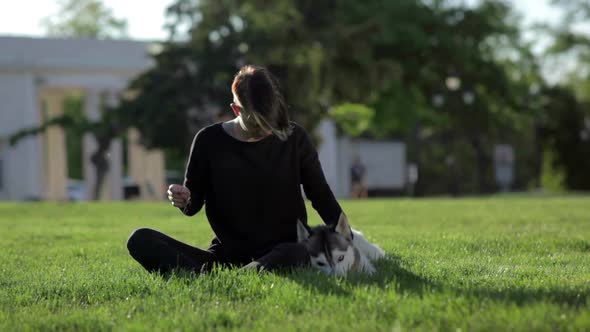 Beautiful Young Woman Playing with Funny Husky Dog Outdoors in Park at Sunset or Sunrise on Green