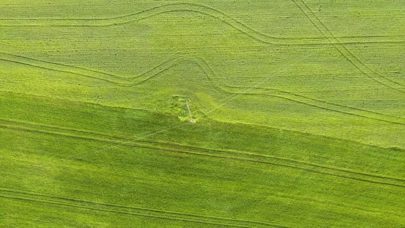 Aerial view of green agriculture fields in spring with fresh vegetation after seeding season.