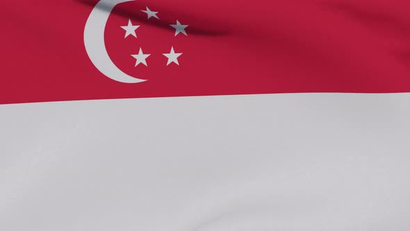 Flag Singapore Patriotism National Freedom Seamless Loop