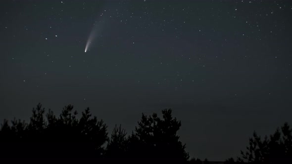 The Comet Moves Across the Night Sky Among the Stars