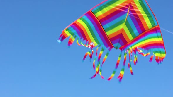 Kite on the Ocean