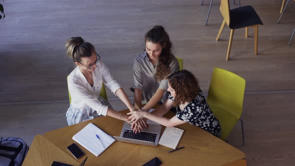 Female Students Making a Teamwork in Library Gathering Hands  High Angle View