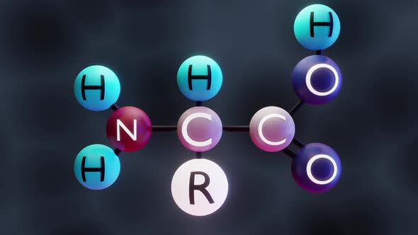 Video of Amino acid molecule, 3d render, Molecular structure of  amino acids