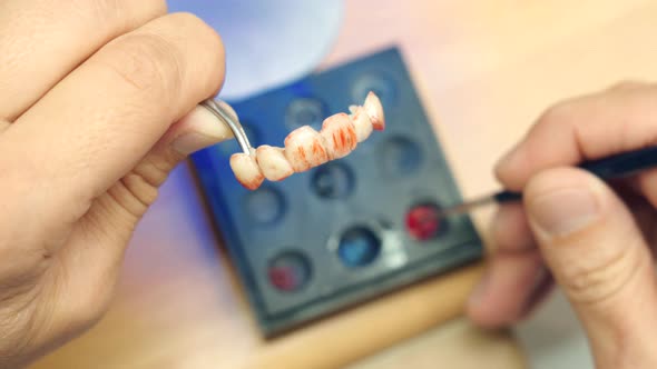 Crop dentist painting dental bridge with ceramics