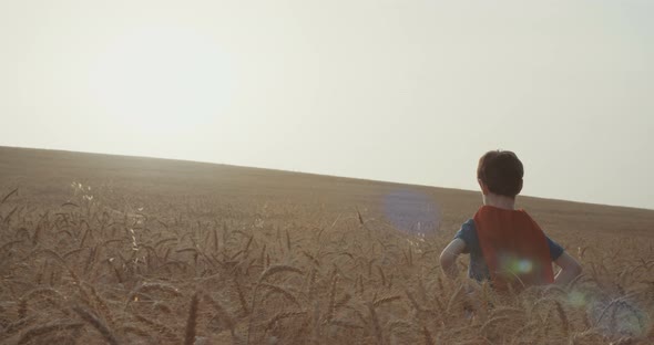 Young boy with a superhero cape stands in a golden field during sunset - raising hands in victory