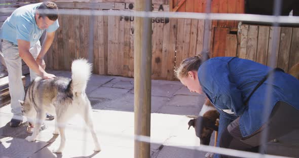 Dog in a shelter with Caucasian volunteer Woman