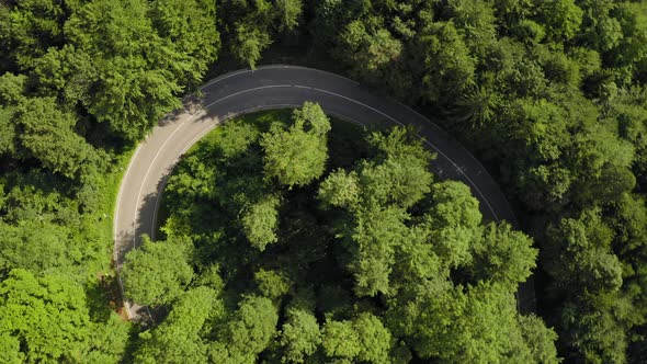 Aerial top shot flying up (zoom out) over a green forest with a curvy street and driving cars from a