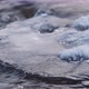 Winter River - VideoHive Item for Sale