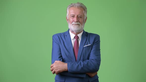 Handsome Senior Bearded Businessman Against Green Background