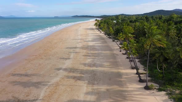 Beautiful Mission Beach aerial with palm tree shadows on sand, Queensland, Australia