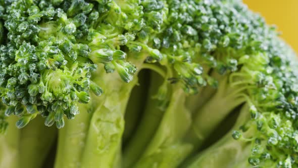 Broccoli on Yellow Background Fresh Green Broccoli and Water Drops Closeup Vitamins Raw Food and