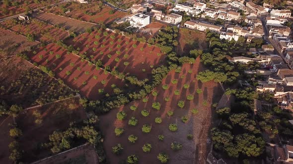 Aerial: Fields of Mallorca, Spain