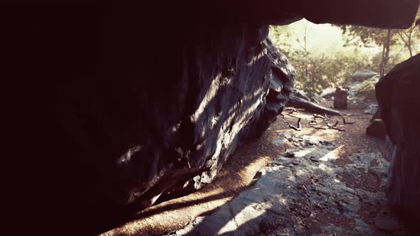 Big Dark Cave and Sun Light From Jungle Forest