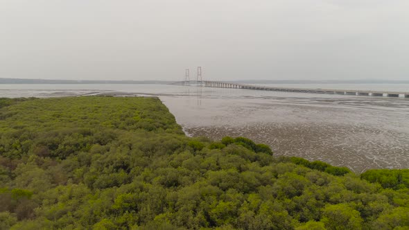 Suspension Cable Bridge in Surabaya