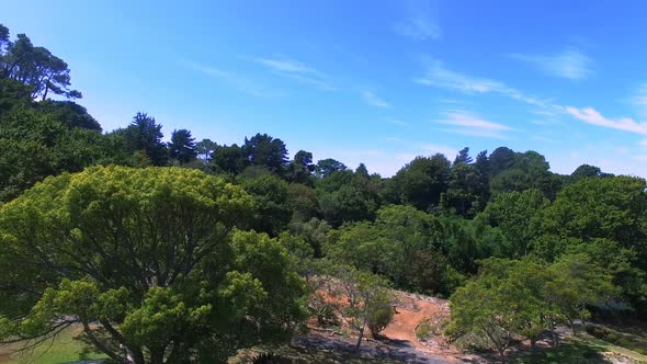 View of beautiful park