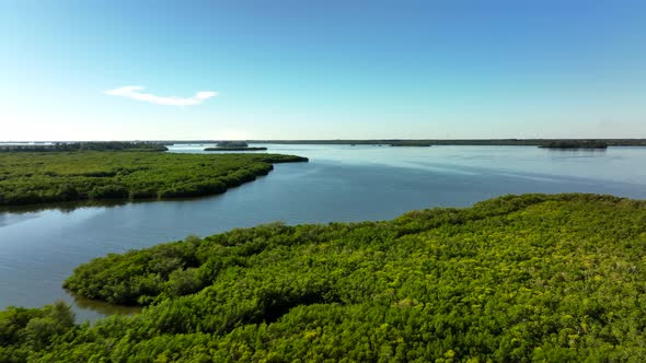 Aerial Vero Beach Fl Mangrove Trees Indian River 4k