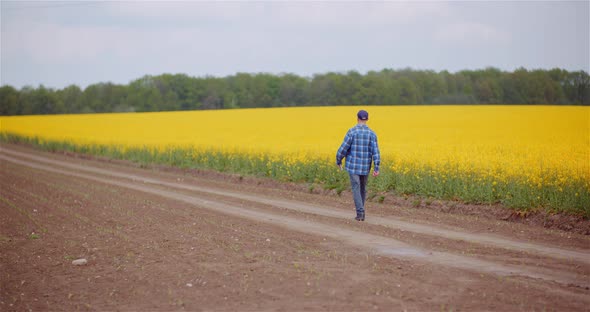 Farmer Walking on Agriculture Field Examining Crops