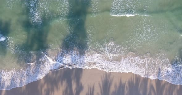 Morning Aerial Beach Wave