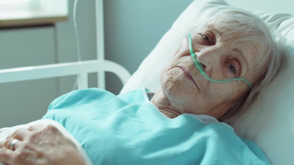 Portrait of Elderly Woman with Nasal Cannula in Hospital