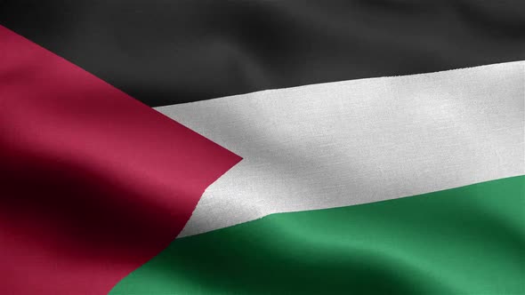 Palestine Flag Seamless Closeup Waving Animation