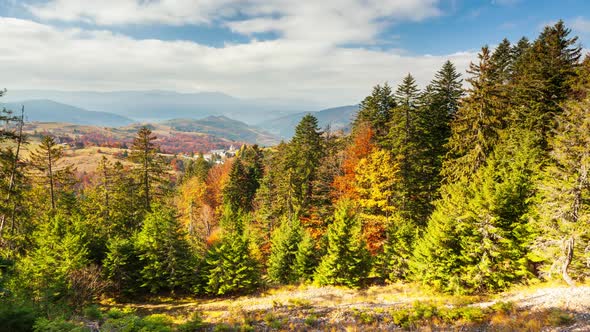 Fantastic Aerial Footage of a Mountain Rock Covered with Coniferous Forest