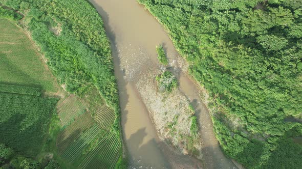 Big river around plantation and green landscape