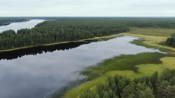 Flight Over the Taiga Forest Lake