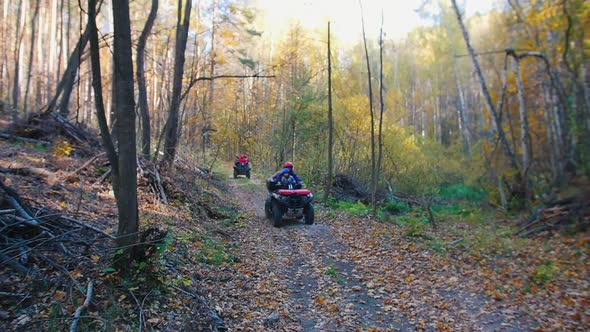 People Riding ATVs in the Forest on the Track - Autumn Season