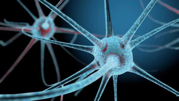 3D neuron cells network structure animation