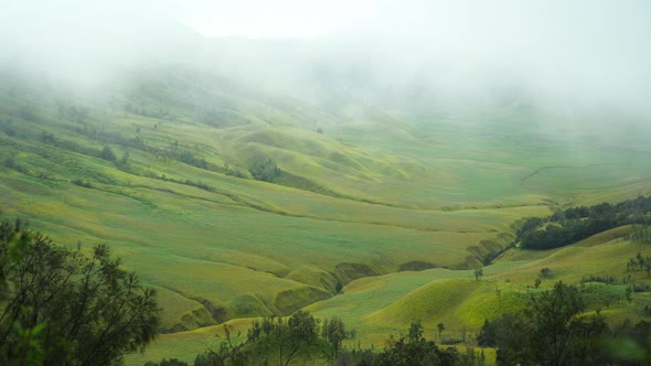 Green Hill Bromo Indonesia 