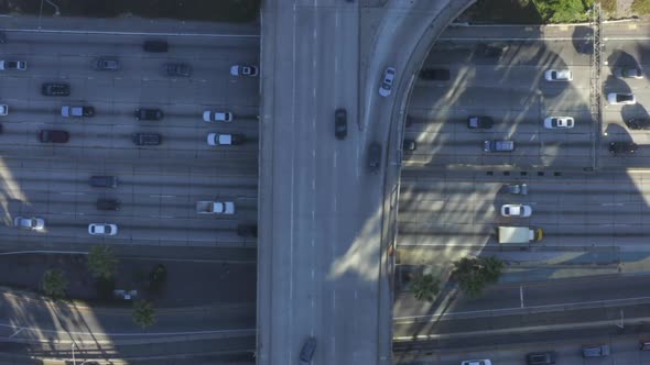 AERIAL: Birds Eye View of Downtown Los Angeles, California Intersection Traffic with Palm Trees and